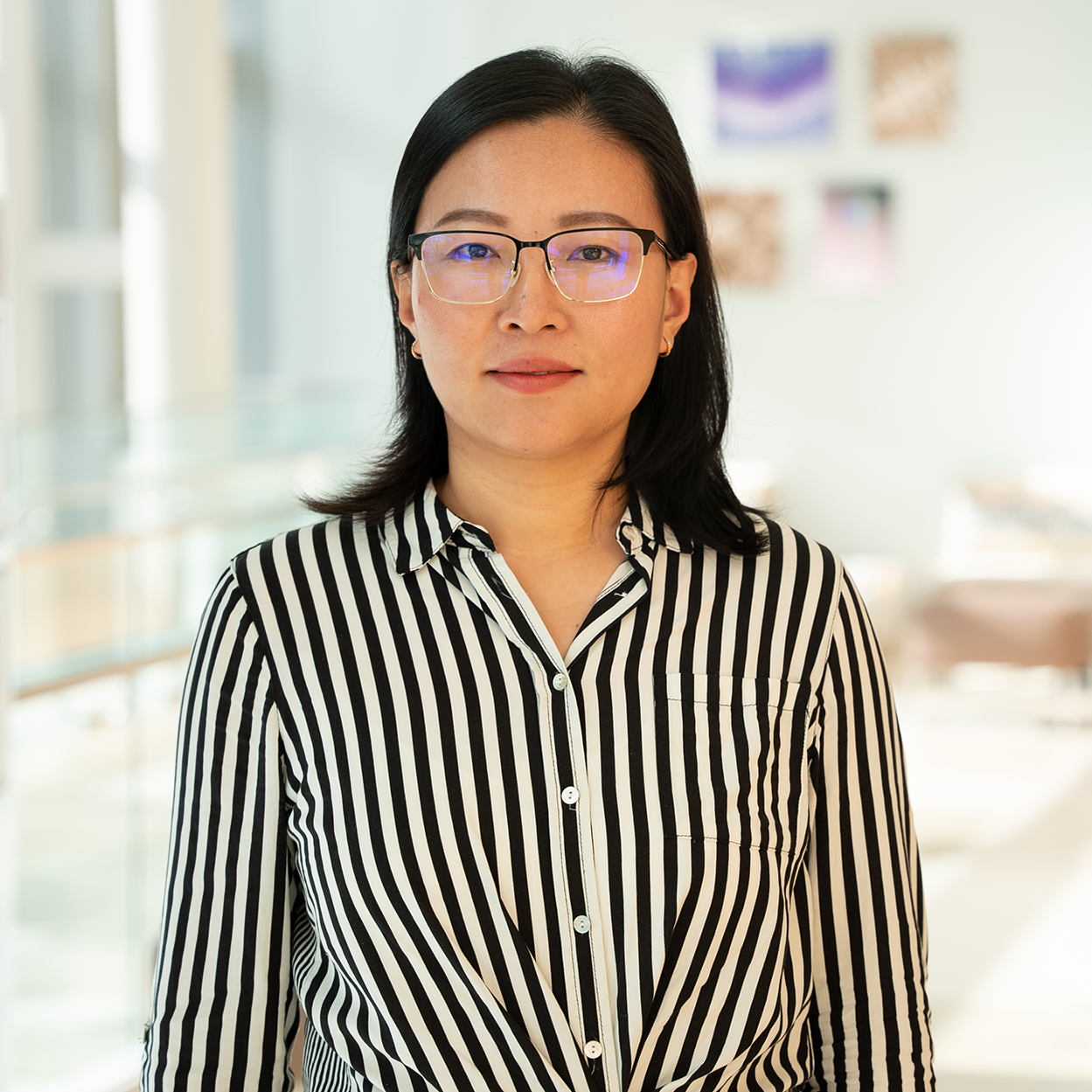 Headshot of Dr. Haimin Wang