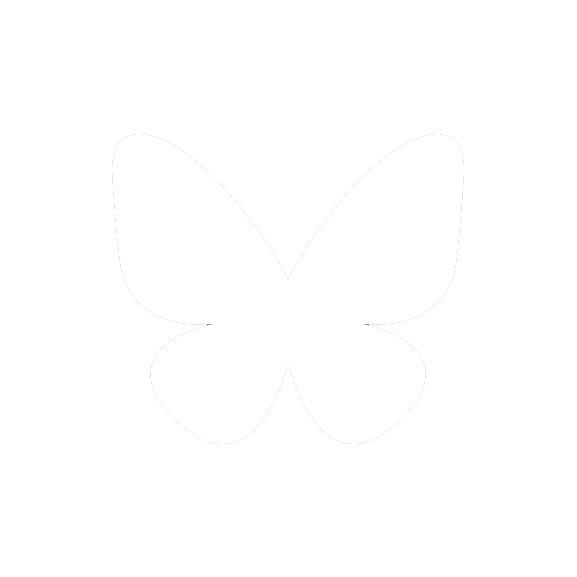 BlueSky icon